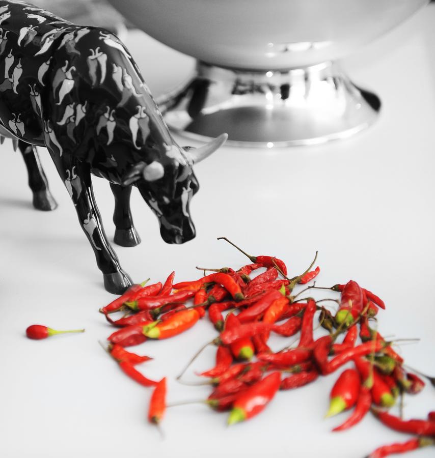Hotel Spicy Σορέντο Εξωτερικό φωτογραφία